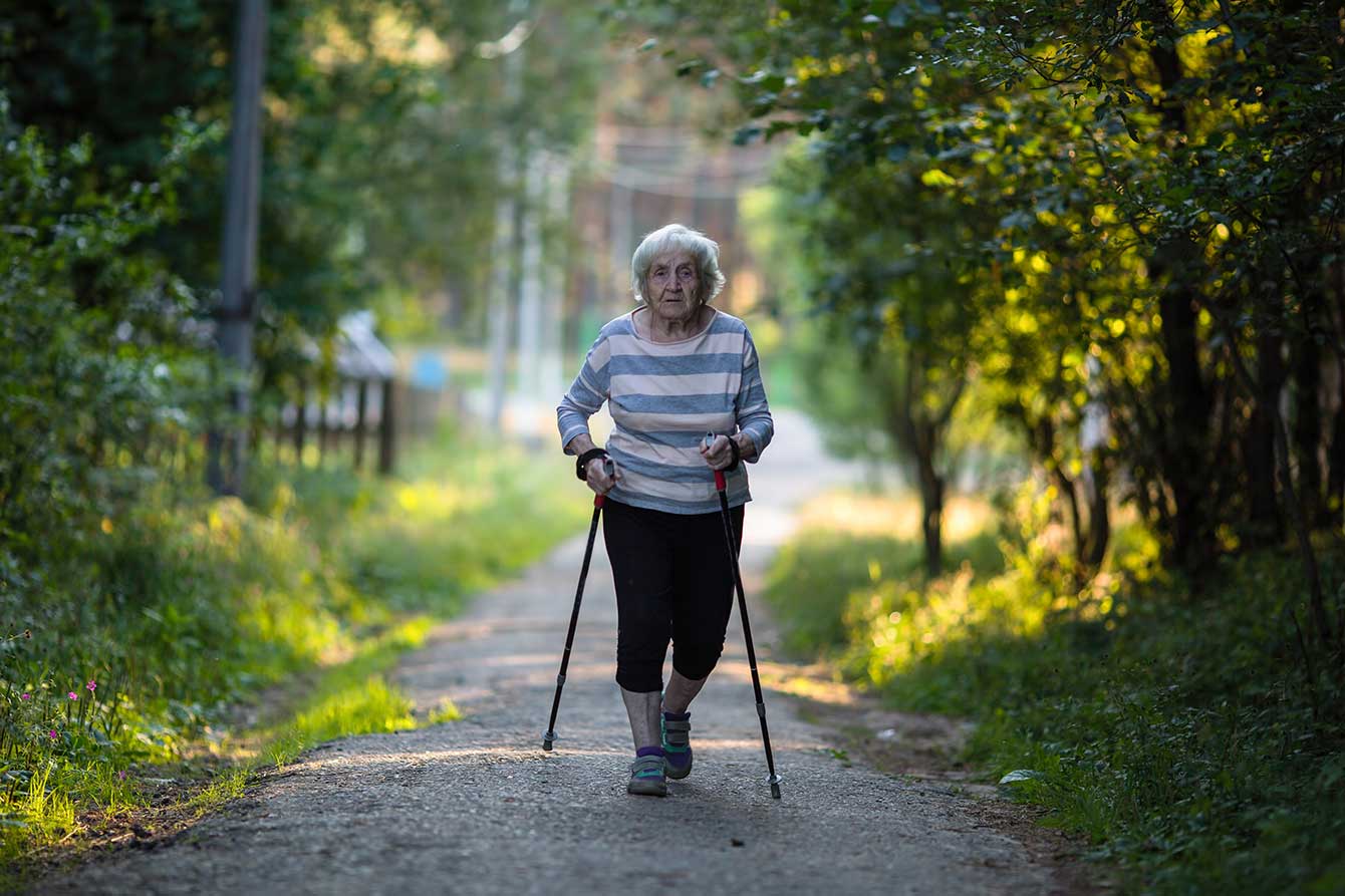 An elderly woman with walking poles on the road in the park