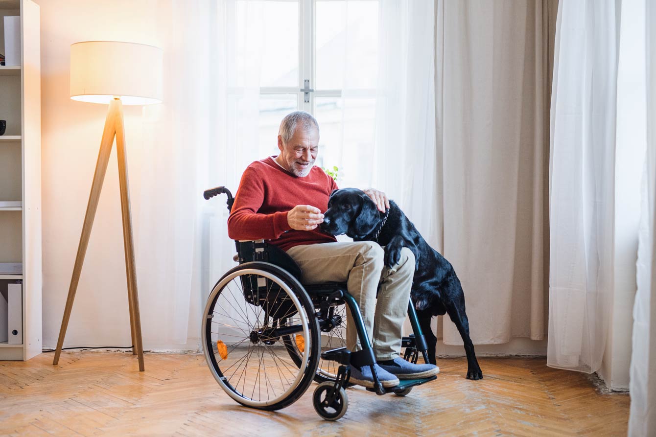 disabled senior man playing with his dog in his home