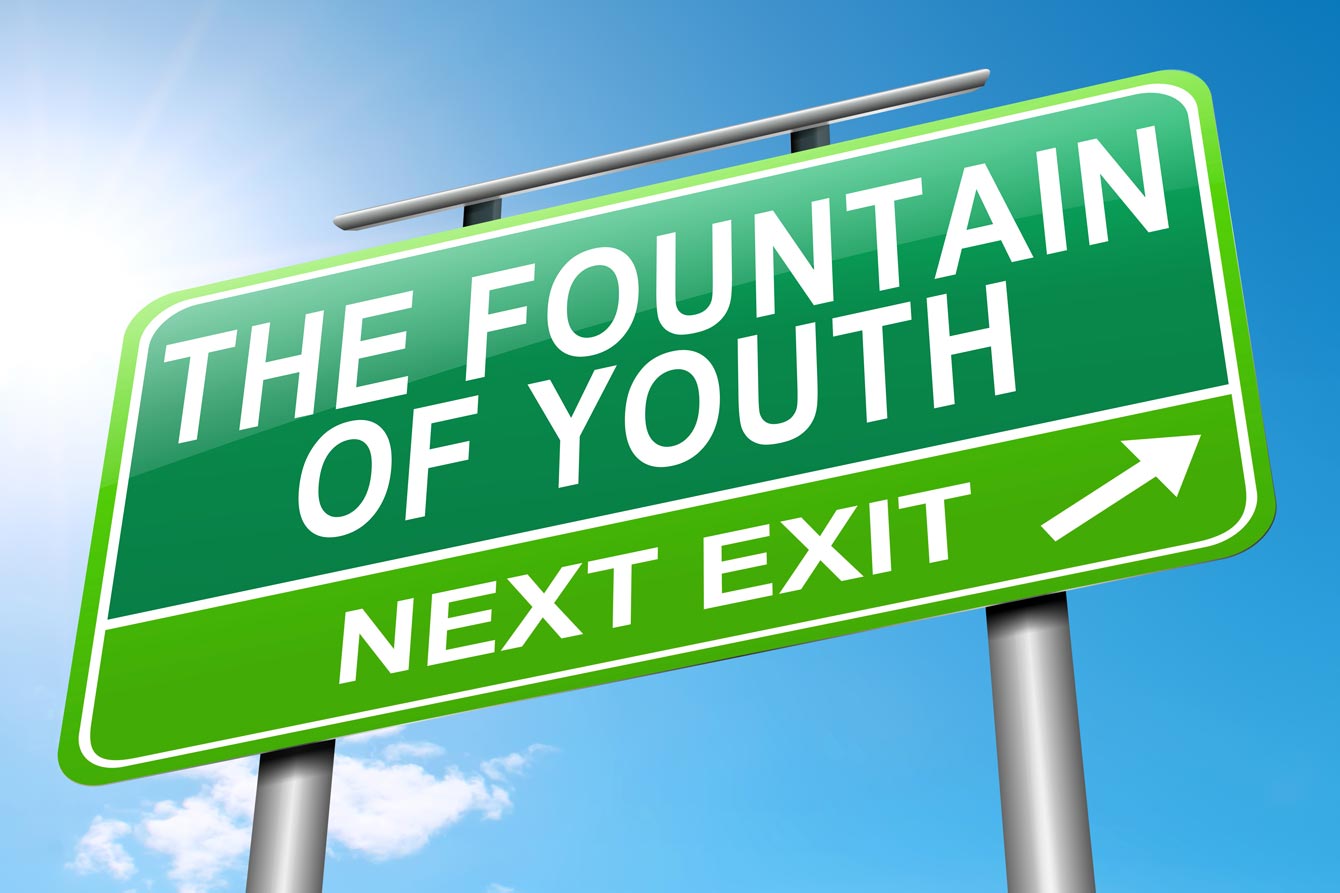 A road sign that read fountain of youth next exit