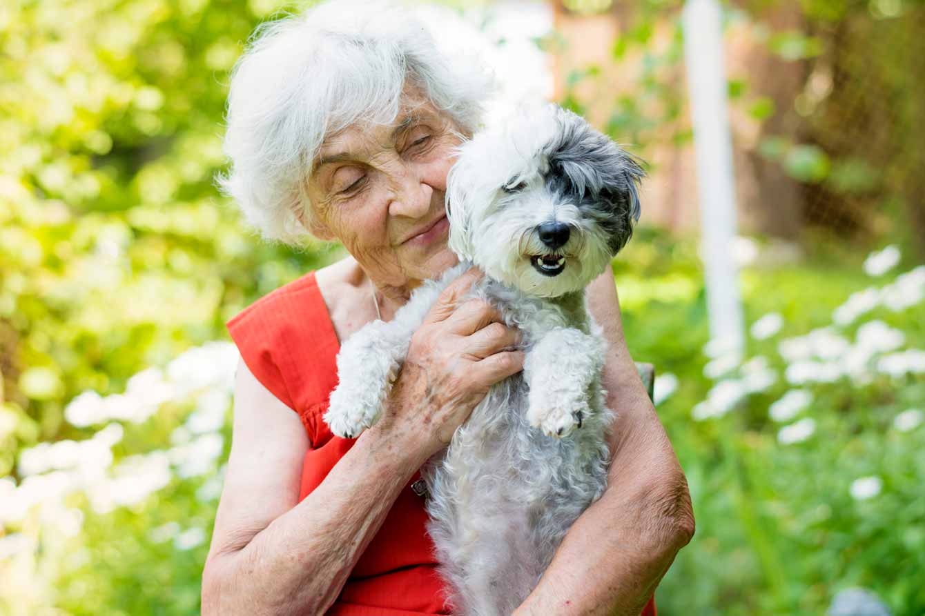 Happy elderly woman in her garden holds a cute white puppy
