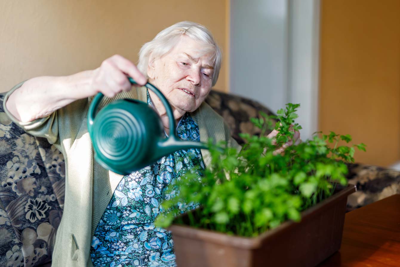 elderly lady tending to her indoor plants in supportive housing